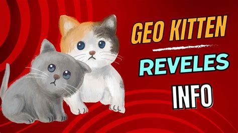 is geo kitten safe.
